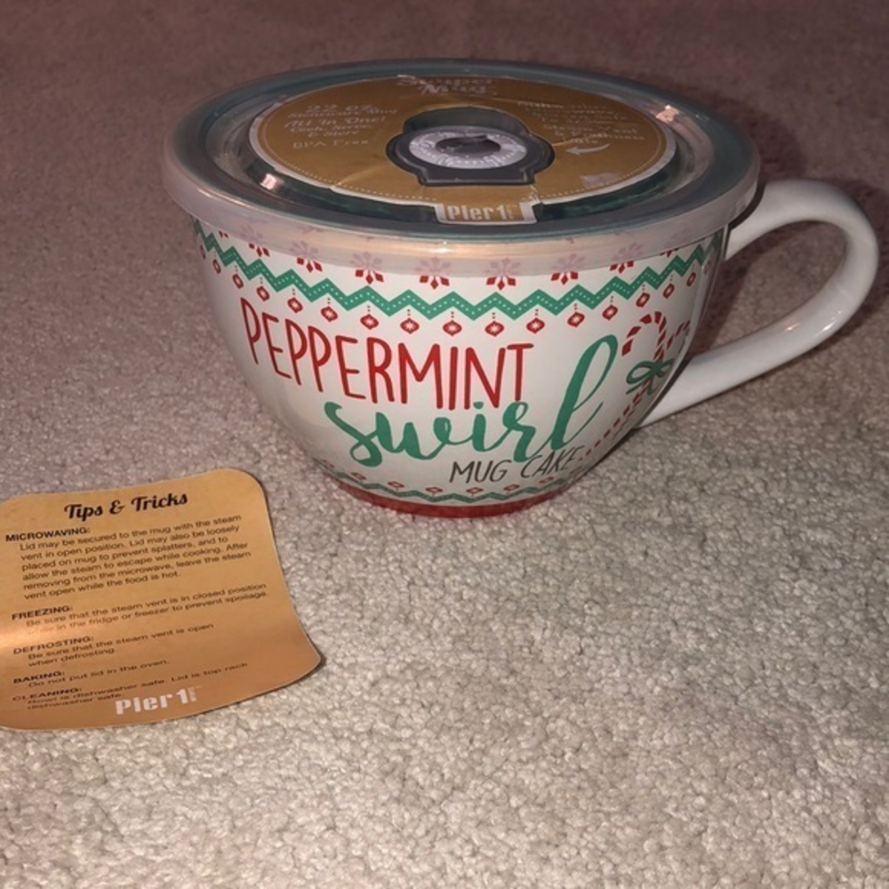 Pier 1 Imports Souper Soup Mug Christmas Peppermint‎ Swirl Cake New